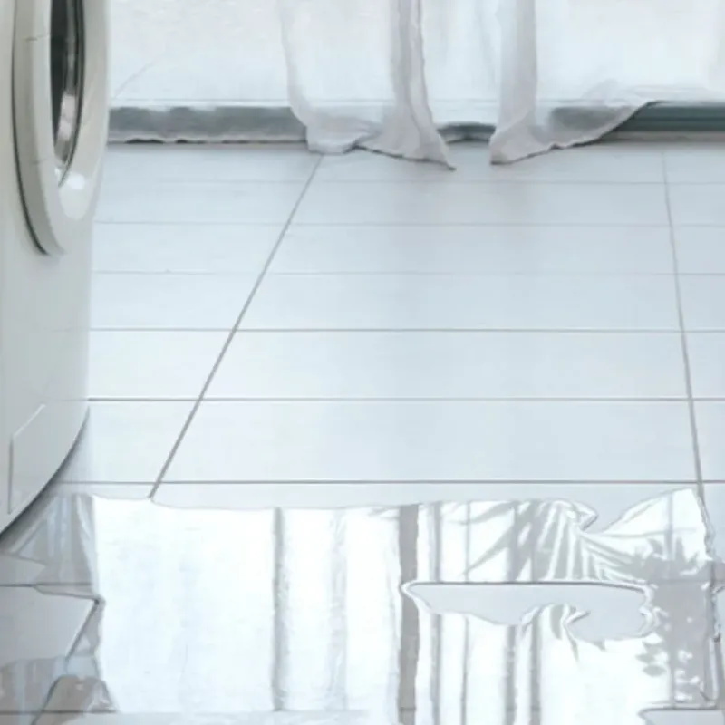 Appliance Leak Cleanup in Elkhart, TX