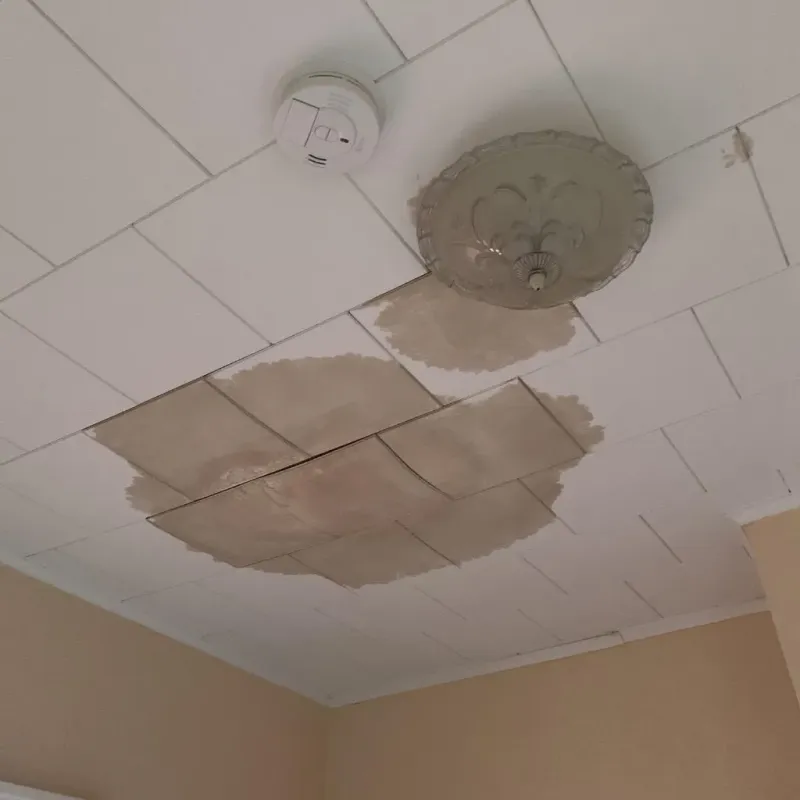 Ceiling Water Damage Repair in Elkhart, TX