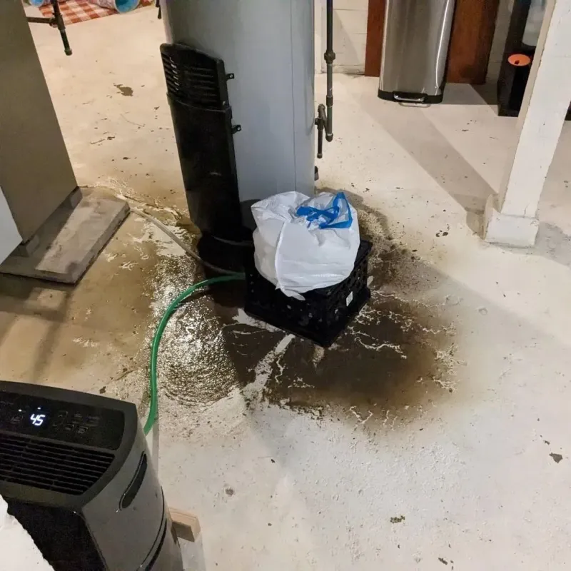 Sewage Backup Cleanup Service in Elkhart, TX